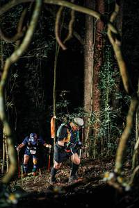 BIB: 
                            <button type="button" onclick="openModal(25239625)" class="btn btn-primary btn-sm float-right btn-popup" data-toggle="modal" data-target=".modal-high-quality">
                        <i class="fas fa-shopping-cart"></i> Add to Cart
                    </button>
                                            <button type="button" onclick="isThisMe(25239625, true)" class="btn btn-success btn-sm float-right btn-popup btn-isme hidden" data-toggle="tooltip" data-placement="bottom" title="นี่คือรูปของคุณใช่ไหม คลิกที่นี่เพื่อเอาเข้าอัลบั้ม">
                        <i class="fas fa-plus"></i> Add to album
                    </button>
                    <button type="button" onclick="isThisMe(25239625, false)" class="btn btn-warning btn-sm float-right btn-popup btn-isnotme hidden">
                        <i class="fas fa-ban"></i> Remove from album
                    </button>